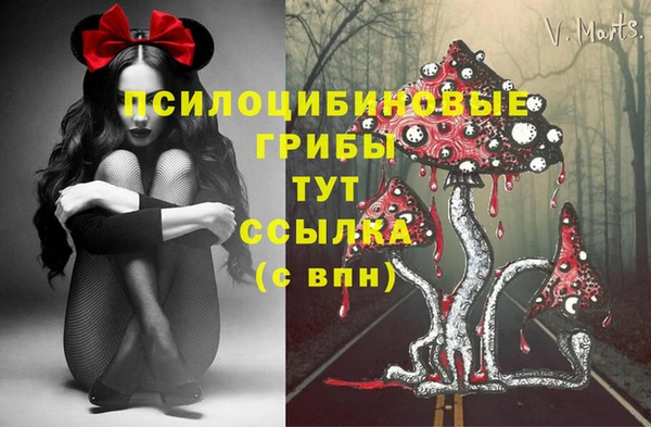 Альфа ПВП Новокубанск